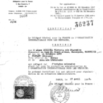 
						Attesting to the fact that Wiktoria is a Polish refugee under the protection of the IRO					