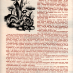 
						Ulani page 10					