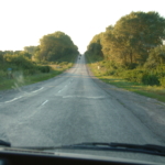 
						Not far from Szmankowczyki on the road back to Trembowla and Tarnopol.					