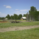 
						IMG 5565					