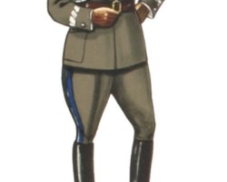Brigadier general