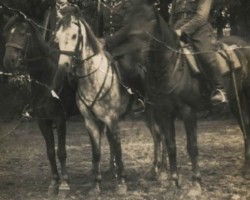 K.O.P. soldiers on horse patrol. Archives of the Kresy - Siberia Foundation