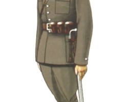 Cavalry lancer