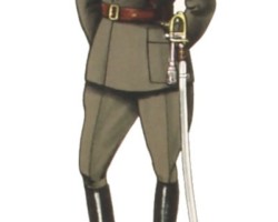 An infantry colonel