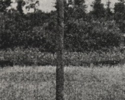 Information board "Borderland Zone", 1937. Source: "Wiarus", August 21, 1937, No. 34, pp. 898