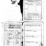 Military book by Piotr Kruk