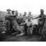 Sapper of the 3rd Carpathian Rifle Division Piotr Suprun (in the center), Palestine, 1943