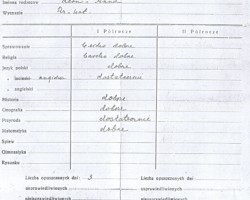 Izabela Czerkawska's certificate of completing the 7th grade in a primary school in Tehran, Iran, July 1942; source: from the collection of Wiesław Stypuła Izabela Czerkawska's certificate of completing the 7th grade in a primary school in Tehran, Iran, July 1942; source: from the collection of Wiesław Stypuła