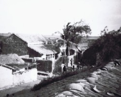 A fragment of the village of Balachadi, India; source: from the collection of Wiesław Stypuła A fragment of the village of Balachadi, India; source: from the collection of Wiesław Stypuła