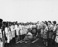 Handing over tents to Polish scouts by representatives of scouts from India, in the center visible scout Valivadekar and scout Ryszard Zuch (scoutmaster Zdzisław Peszkowski); source: Koło Polaków z Niechciał z Niechciał Handing over tents to Polish scouts by representatives of scouts from India, in the center visible scout Valivadekar and scout Ryszard Zuch (scoutmaster Zdzisław Peszkowski); source: Koło Polaków z Niechciał z Niechciał