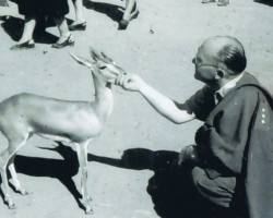 The commander of the settlement, Father Franciszek Pluta, with the deer Basia, Balachadi; source: from the collection of Wiesław Stypuła The commander of the settlement, Father Franciszek Pluta, with the deer Basia, Balachadi; source: from the collection of Wiesław Stypuła