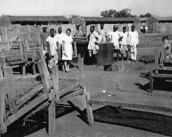 Representatives of the Sanitary and Order Team preparing beds for medical service patients in the Valivade housing estate; source: Poles from India Association Representatives of the Sanitary and Order Team preparing beds for medical service patients in the Valivade housing estate; source: Poles from India Association