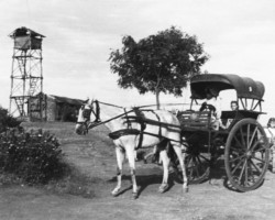 Tonga and the fire tower in Valivade; source: Poles from India Association Tonga and the fire tower in Valivade; source: Poles from India Association
