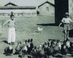 Boy helpers from Ferdynand Burdze's team (who ran a mini-farm) "at work", Balachadi; source: from the collection of Wiesław Stypuła Boy helpers from Ferdynand Burdze's team (who ran a mini-farm) "at work", Balachadi; source: from the collection of Wiesław Stypuła