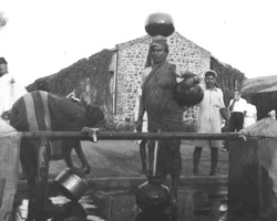 Valivade," Bheesti" Water Carrier Indian water carrier in Valivade; source: Poles from India Association