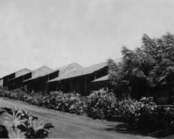 The Polish refugee settlement in Valivade; source: Poles from India Association The Polish refugee settlement in Valivade; source: Poles from India Association