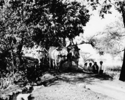 Residents of the Polish refugee settlement in Valivade during one of the trips to the Kolhaput area; source: Poles from India Association Residents of the Polish refugee settlement in Valivade during one of the trips to the Kolhaput area; source: Poles from India Association