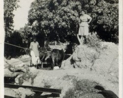 Polish refugees from the Soviet Union after arriving by sea from Iran to India, in transit camps near Karachi; source: Poles' Association in India Polish refugees from the Soviet Union after arriving by sea from Iran to India, in transit camps near Karachi; source: Poles' Association in India