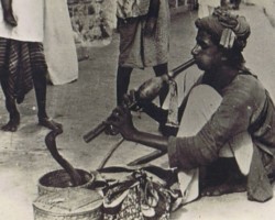 Karachi - a city next to which two temporary camps for Polish refugees were established (Malir and Country Club) and one of the places where Polish youth receiving education in convents were temporarily educated, 1944; source: private collection of Jerzy Szczawiński Karachi - a city next to which two temporary camps for Polish refugees were established (Malir and Country Club) and one of the places where Polish youth receiving education in convents were temporarily educated, 1944; source: private collection of Jerzy Szczawiński