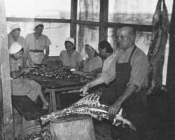 One of the three kitchens at the Country Club camp; source: Poles from India Association One of the three kitchens at the Country Club camp; source: Poles from India Association